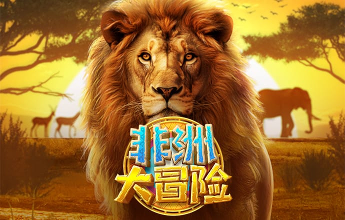 龙珠体育官网入口