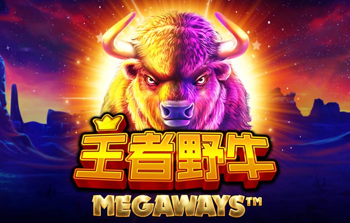 澳门今晚一肖一码1009995